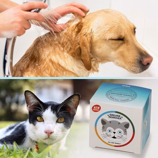 Fornecimento de fábrica Shampoo desengordurante anti-coceira para animais de estimação de alta qualidade