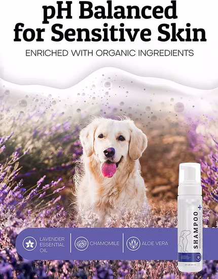 Shampoo para cães sem água OEM Shampoo seco natural para limpeza de cães Shampoo para banho de animais de estimação