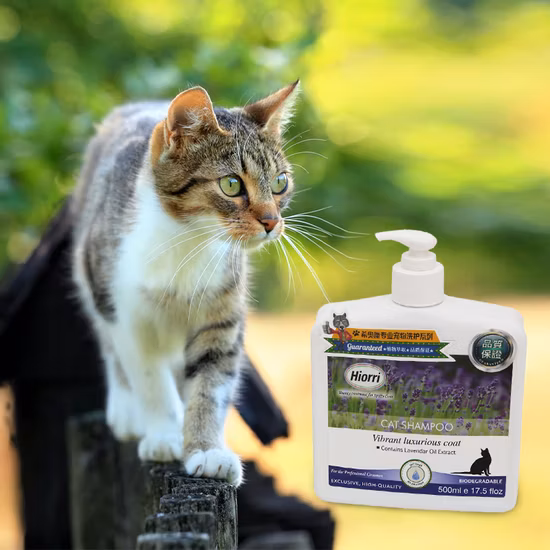 Shampoo nutritivo para gatos com pele de pulgas para cuidados com animais de estimação